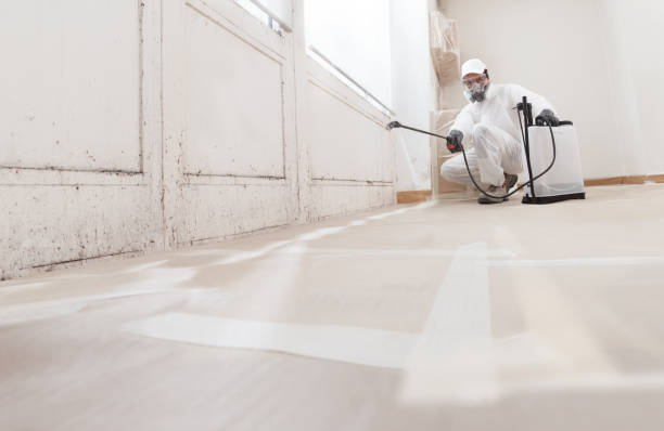 24/7 Emergency Mold Removal experts in Richmond, VA